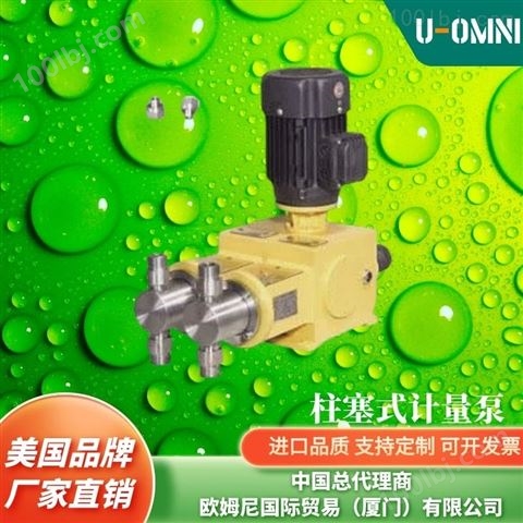 进口柱塞式双泵头计量泵-美国品牌欧姆尼