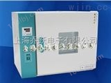 WG9020A卧式电热鼓风干燥箱（JOYN）上海乔跃品牌