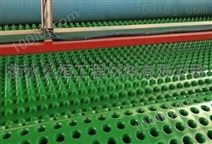 绿色塑料排水板