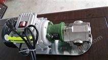 供应WCB-30齿轮油泵大量批发